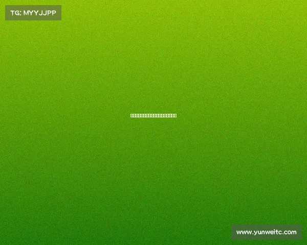 美因茨不敌勒沃库森，德甲赛季压力渐大